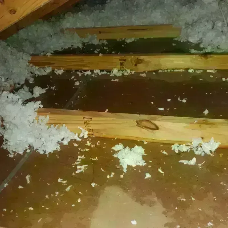 Attic Water Damage in Yarrow Point, WA